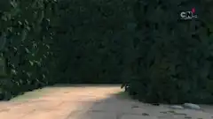 LEGO Ниндзяго: Мастера кружитцу 12 сезон 2 серия